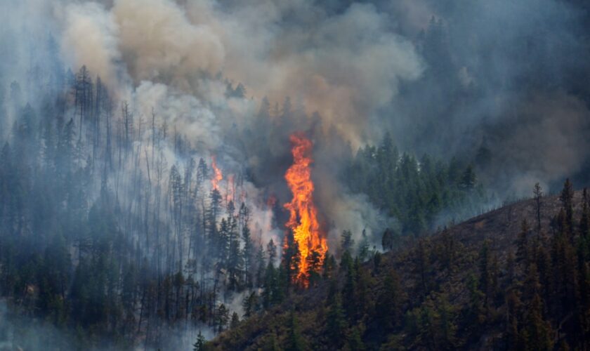 Wildfires rage through Colorado, prompting hundreds to evacuate; 1 killed