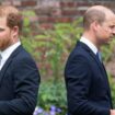 William and Harry 'didn't speak' at uncle's funeral as guests describe chilly interaction