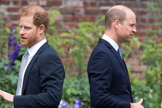 William and Harry 'didn't speak' at uncle's funeral as guests describe chilly interaction