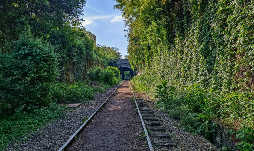 Et si Paris desserrait sa Petite Ceinture ?