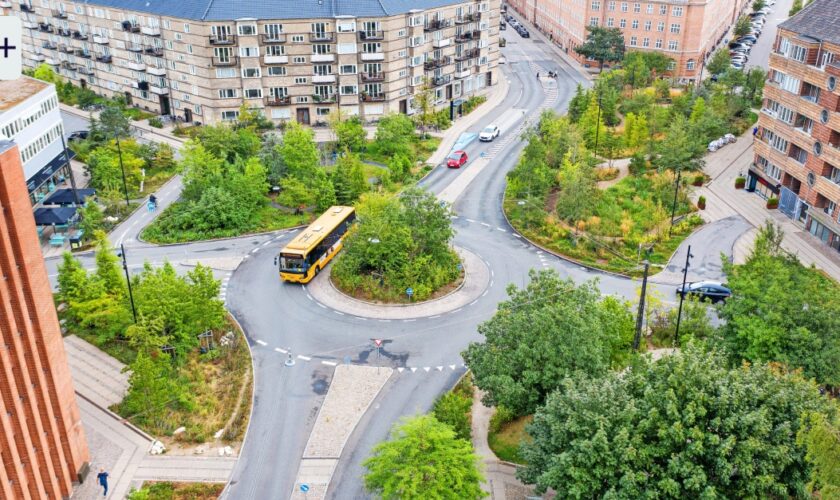 Klimaschutz: Wie Kopenhagen zur Schwammstadt werden soll