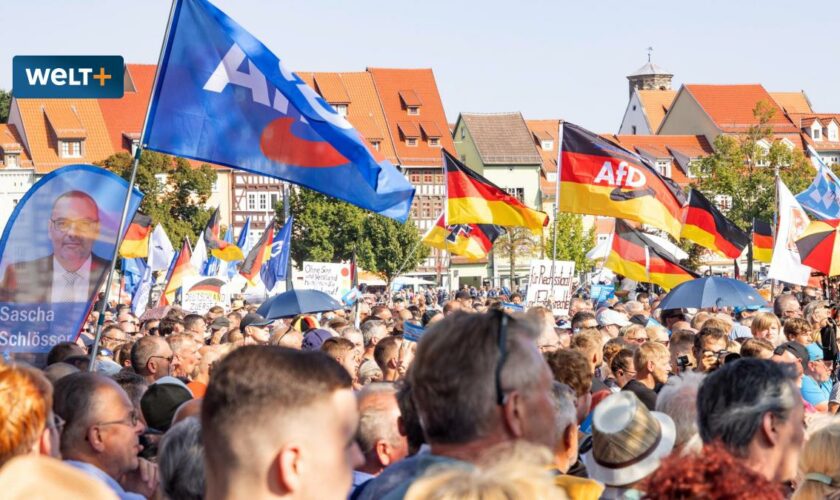 Diese Kompetenzen schreiben die Wähler der AfD zu