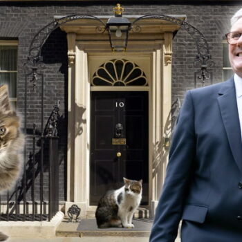 Keir Starmer says Siberian kitten has moved into Downing Street