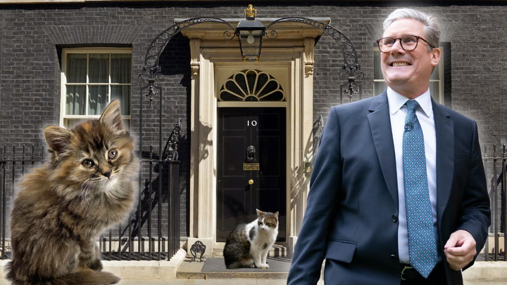 Keir Starmer says Siberian kitten has moved into Downing Street