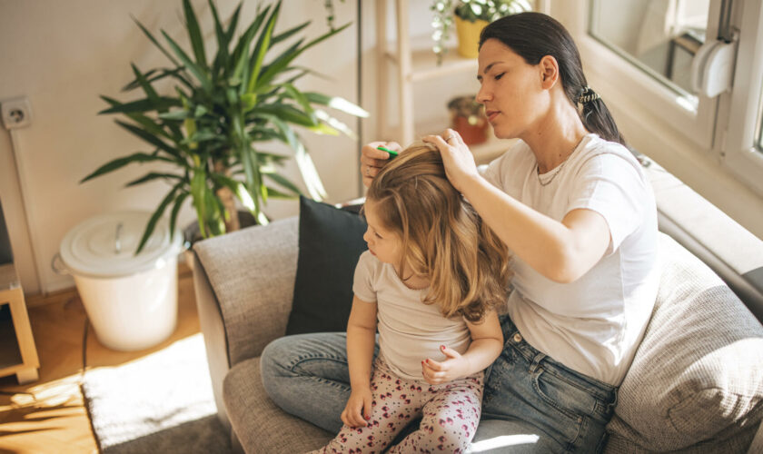 Rentrée scolaire : Pour éviter que les poux ne débarquent sur la tête de son enfant, voici quelques conseils