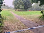 Dog walker, 80, dies after being 'attacked by gang of children at park': Three girls and two boys, aged 12 to 14, are arrested for murder