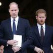 Prince Harry 'won't return to royal duties unless William apologises' but would be willing to 'help out' the Firm if asked by his father, report claims