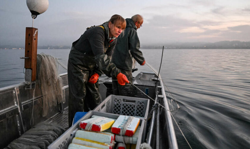 Dans le nord de l’Allemagne, des “Sea Rangers” tentent d’allier pêche et protection des fonds marins