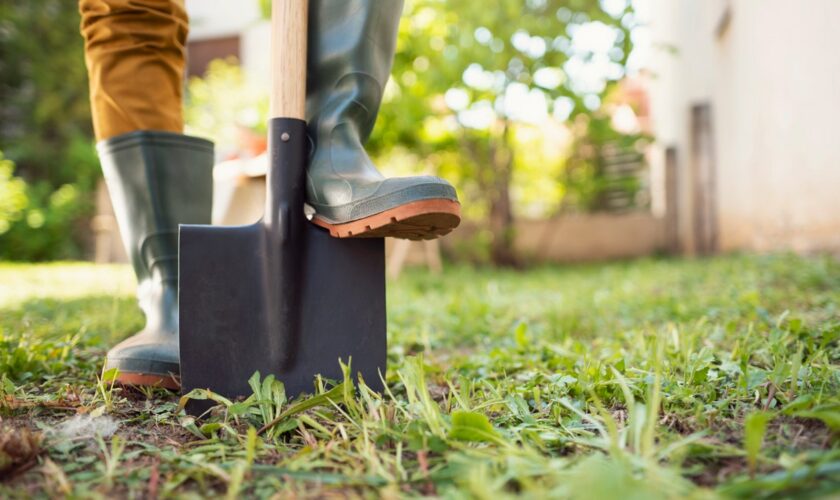 Mom, son dig up ancient object often found near burial grounds while gardening