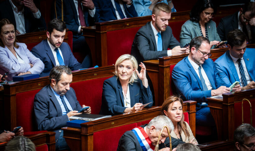 Motions de censure, calendrier parlementaire, nominations : quand le RN joue les arbitres de la politique française