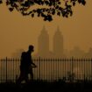 Air and noise pollution linked to higher risk of infertility, study finds