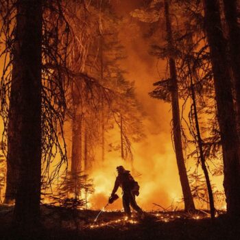 USA: Hunderte fliehen vor Waldbrand in Nordkalifornien