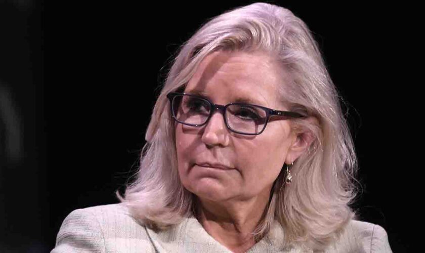 2024 Showdown: Anti-Trump Republican Liz Cheney says she's backing Kamala Harris