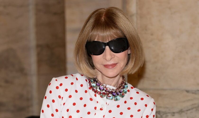 Anna Wintour reveals why her grandchildren’s nickname for her used to be ‘dog’