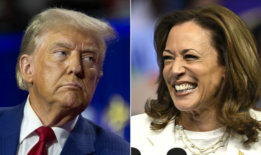 Trump rips 'border czar' Harris in Fox town hall: 'Worst border in the history of the world'