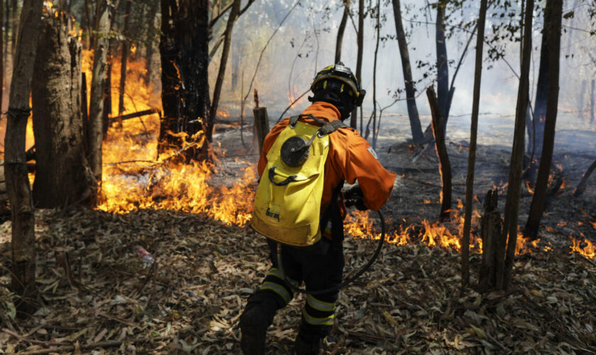 Au Brésil, l’humidité chute à des niveaux inquiétants, « aussi bas » que dans le Sahara