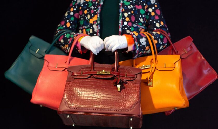 Gen Z heirs of Hermès founder become millionaires overnight