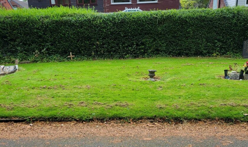 Royton Cemetery. Pic: Royton Independents/Facebook