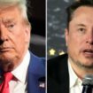 Trump plant, Musk zum Chefprüfer seiner Regierung zu machen