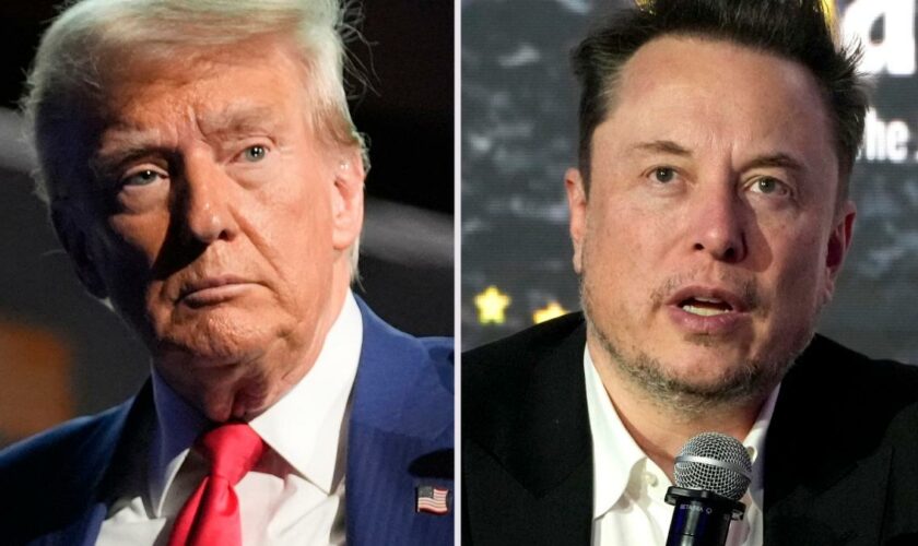 Trump plant, Musk zum Chefprüfer seiner Regierung zu machen