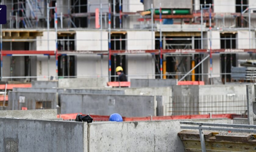 Wirtschaftsminister plädiert für Steuererleichterungen beim sozialen Wohnungsbau