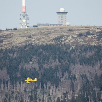 Harz: Rund 500 Menschen wegen Waldbrand vom Brocken gebracht