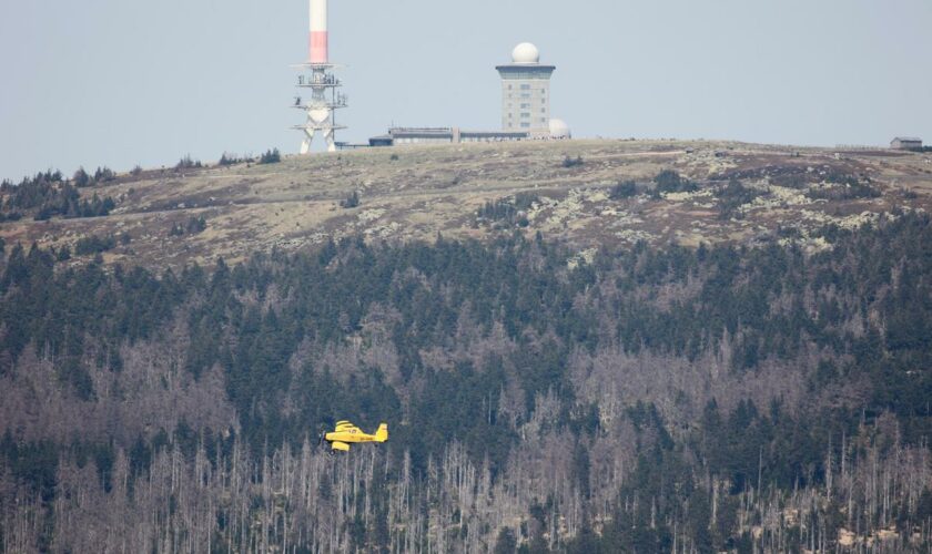 Harz: Rund 500 Menschen wegen Waldbrand vom Brocken gebracht