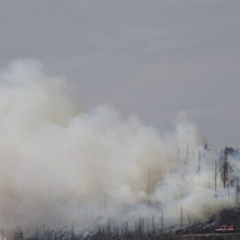 Waldbrand im Harz: 500 Menschen vom Brocken geholt