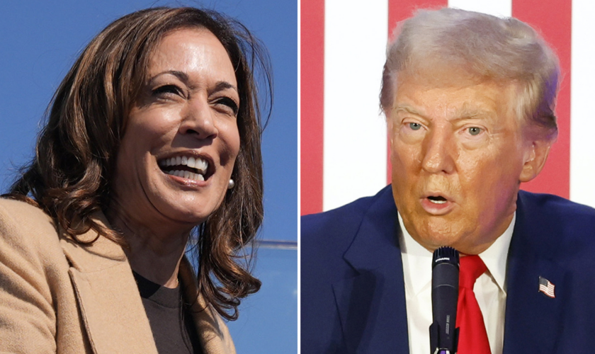 Allan Lichtman predicts Harris as 2024 winner because 'Democrats got smart' and did this