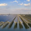 Ce parc à panneaux solaires est assez grand pour alimenter tout un pays