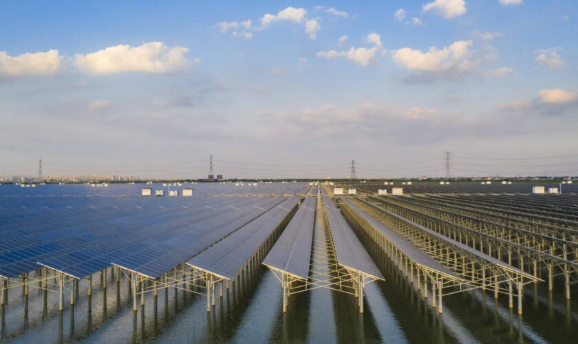 Ce parc à panneaux solaires est assez grand pour alimenter tout un pays