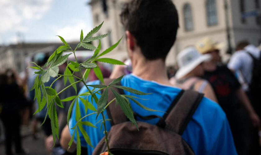 En Allemagne, les dealeurs sont les “seuls gagnants” de la légalisation du cannabis