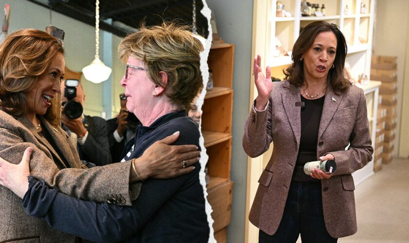 Harris visits spice shop known for hating and slamming Republicans, calls for end of 'divisiveness'