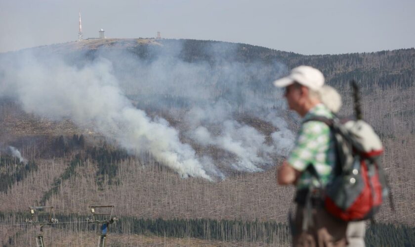 Waldbrand im Harz: Einsatzkräfte nehmen Löscharbeiten am Brocken wieder auf