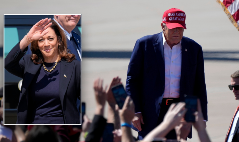 Trump claims Israel will be 'gone' within two years if Harris is elected president: video