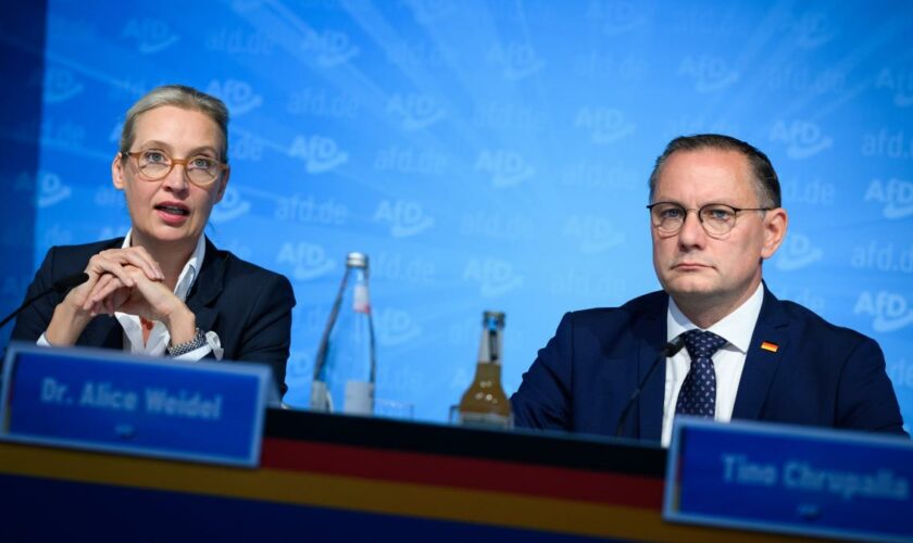 AfD setzt im Wahlkampf voll auf das Thema Migration