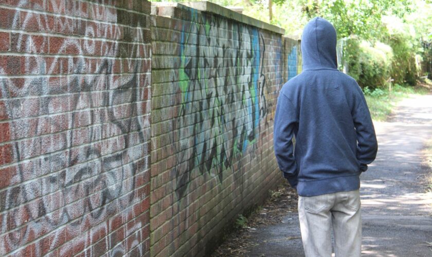 Boy wearing a hoodie