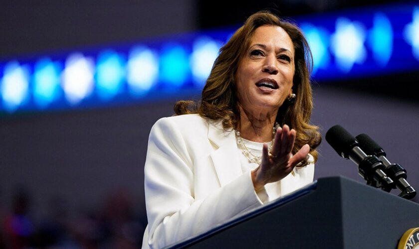 Pennsylvanians offer mixed answers on where Harris stands on key issues: 'Better than the alternative'