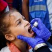 Krieg in Nahost: Mehr als 446.000 Kinder im Gazastreifen gegen Polio geimpft