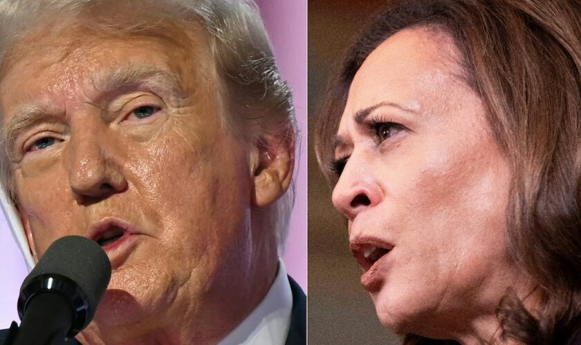 Donald Trump et Kamala Harris sont donnés au coude à coude dans certains Etats-clés