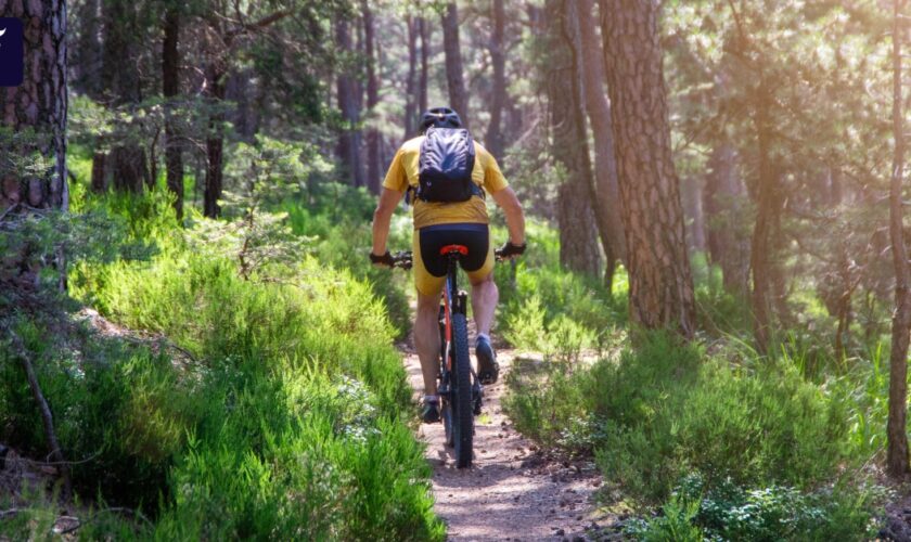 Zukunft des Sports: Selbstfahrende Mountainbikes auf Hochgeschwindigkeits-Waldwegen