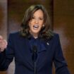 Democratic presidential nominee Vice President Kamala Harris speaks during the Democratic National Convention Thursday, Aug. 22, 2024, in Chicago. (AP Photo/J. Scott Applewhite)