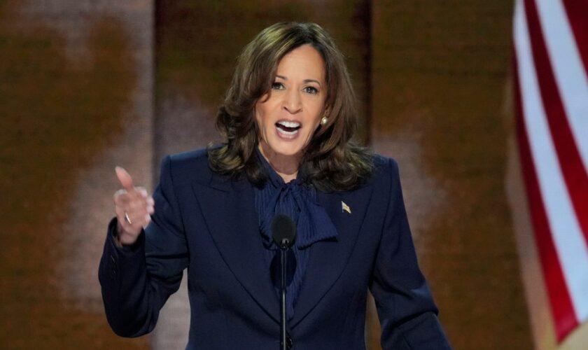 Democratic presidential nominee Vice President Kamala Harris speaks during the Democratic National Convention Thursday, Aug. 22, 2024, in Chicago. (AP Photo/J. Scott Applewhite)