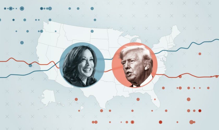 Umfragen zur US-Wahl: Wer zieht ins Weiße Haus – Donald Trump oder Kamala Harris?