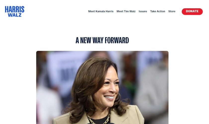 Harris camp's new policy page criticized for lacking specifics on border security: 'There's no there, there'