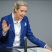 „Sie sind der Kanzler des Niedergangs“, schimpft Alice Weidel