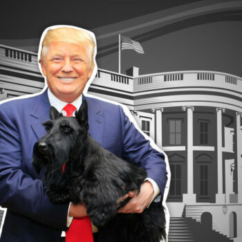 Comme chien et chat : quand Donald Trump se sert des animaux de compagnie contre Kamala Harris