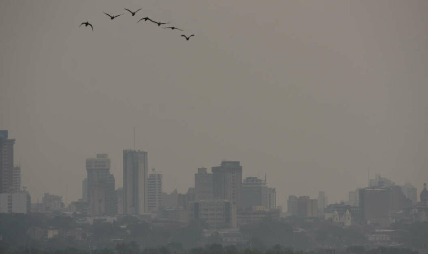 Incendies : l’air paraguayen est désormais “nocif”