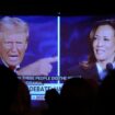 The Harris campaign trolls Trump with their latest “ad” - it’s the entire presidential debate