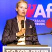 Weidel fordert Neuwahlen und Grenzzäune – und erntet Applaus